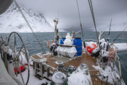 Spitsbergen_2025 (29/78)